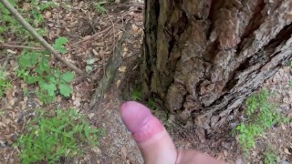 Miniatura filmu Morning masturbation in woods, huge cumshot