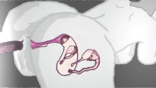 Miniatura filmu big booty squirt