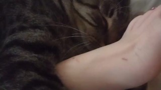 Miniatura filmu Cute Kitten Cuddling With Pretty Feet