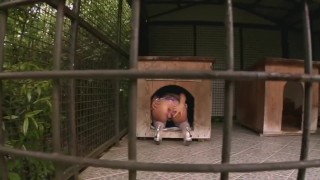 Miniatura filmu Clarissa EURO Anal David Perry, Scott outdoor, costumes, stockings, swallow bitch Teaser#1